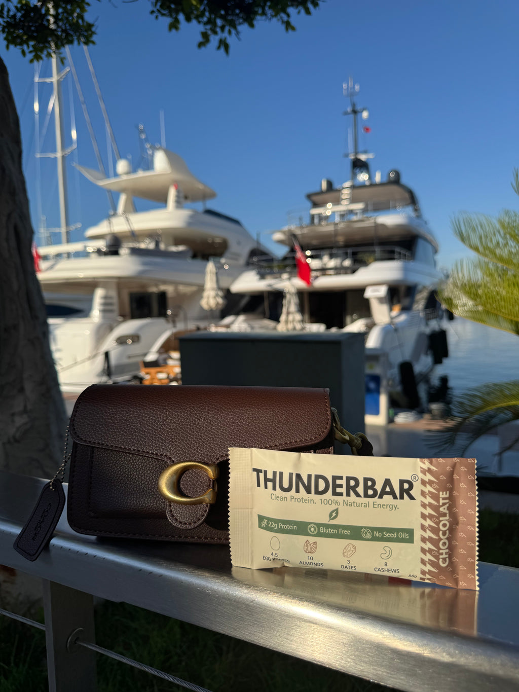 Thunderbar® Chocolate 6 Pack