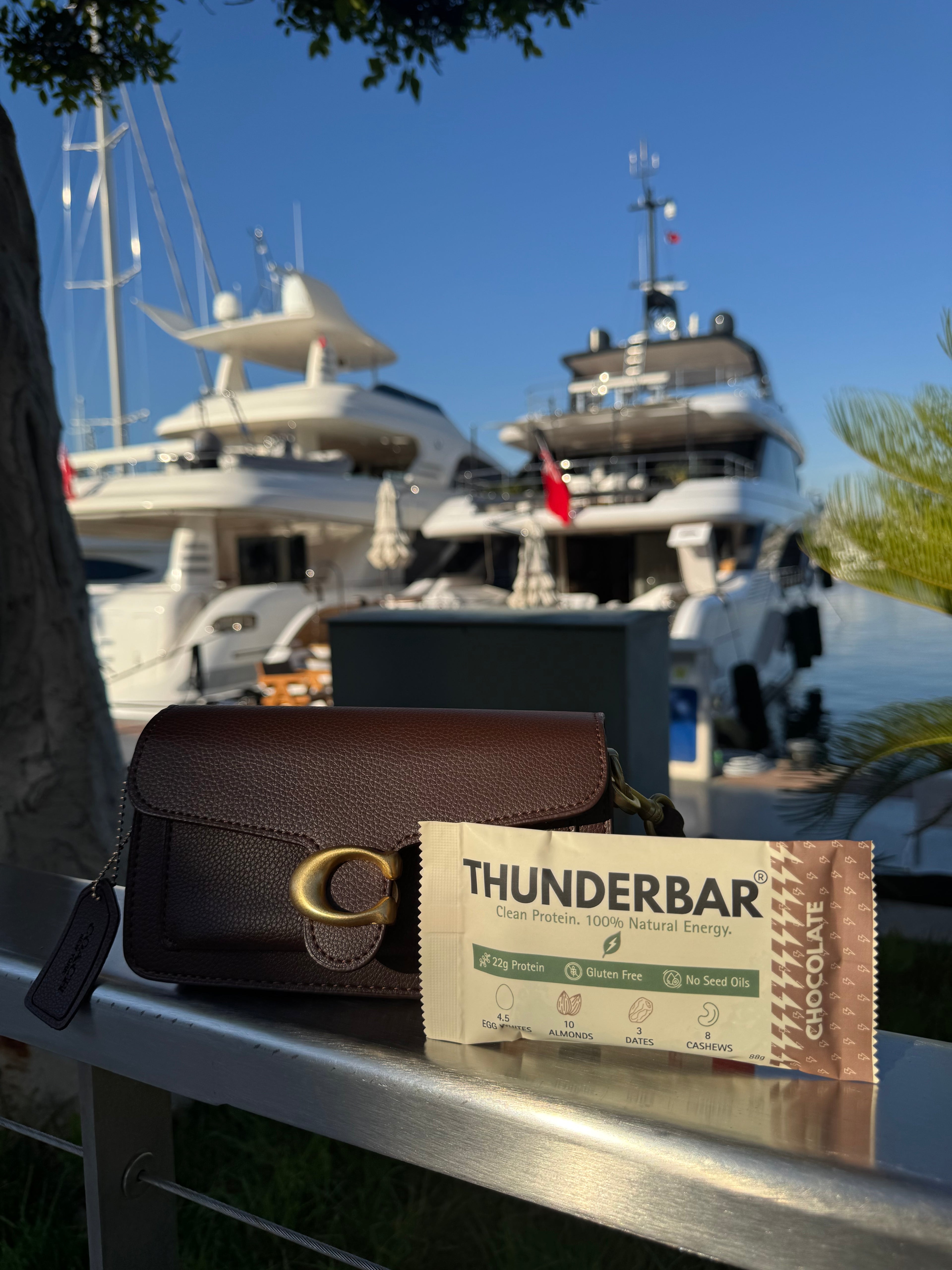 Thunderbar® Chocolate 6 Pack